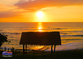 Costa Rica SUP surfing camp