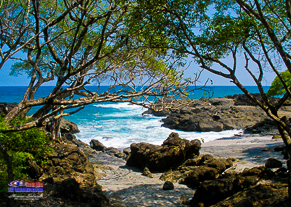 Beautiful Beach SUP in Avellanas camp
