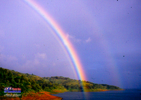 Rainbow SUP in Playa Negra guided tours