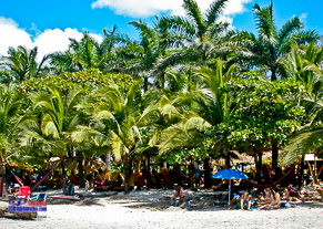 Tamarindo SUP rentals