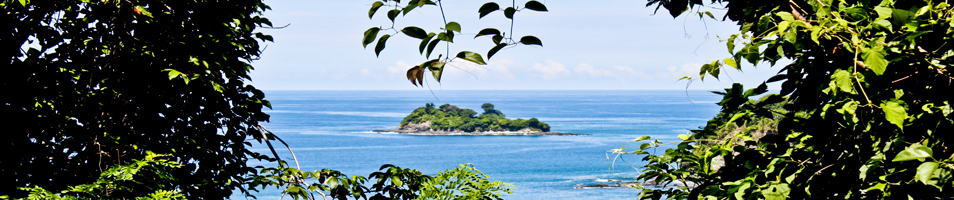 Tamarindo Paddle Board