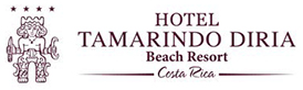Tamarindo stand up paddle lessons